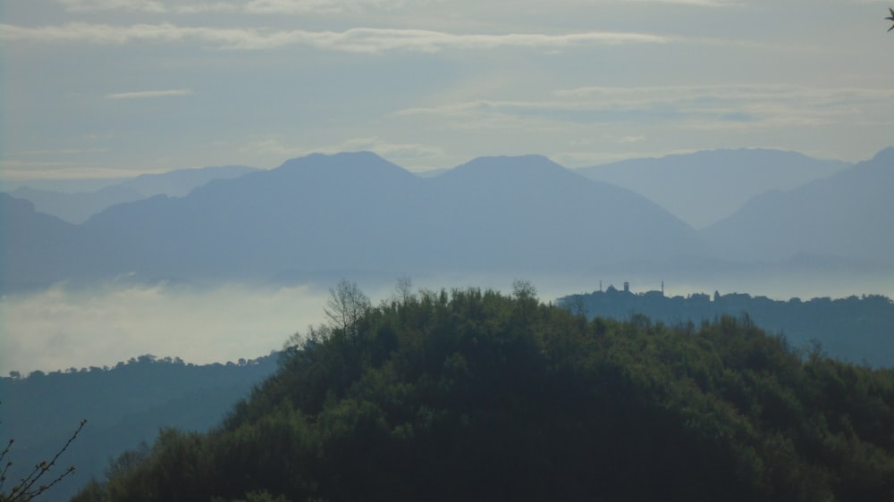 landscape photo of a hill top