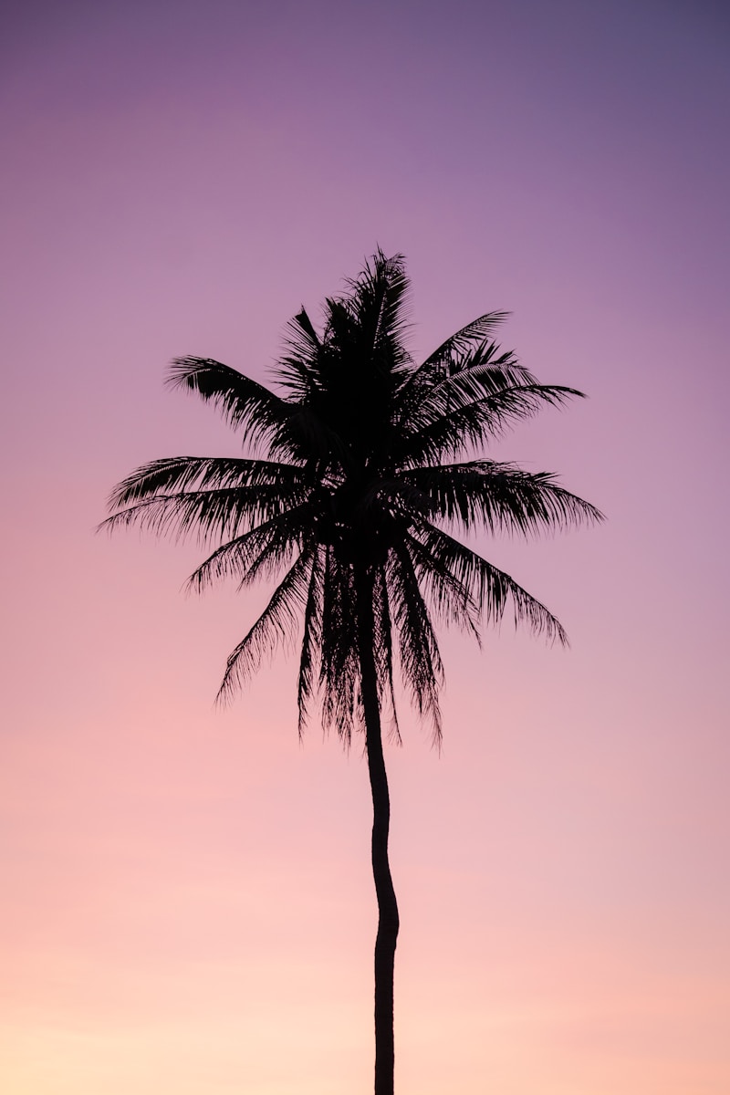 Receba Sua Mensagem Agora