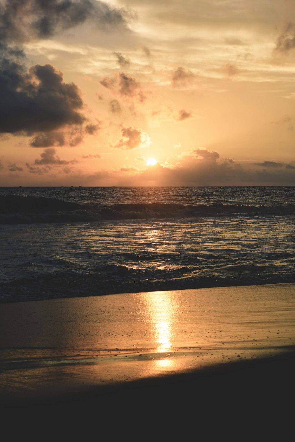 photography of seashore during sunset