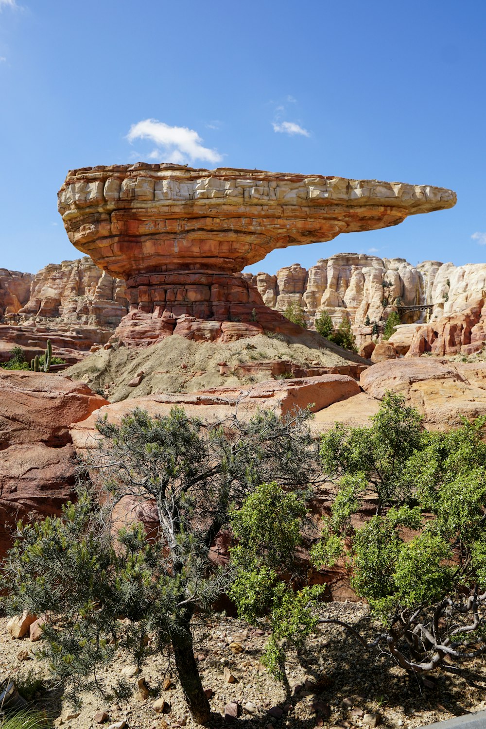 brown rock formation