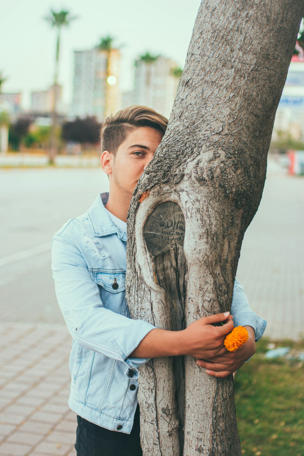 man hugging tree