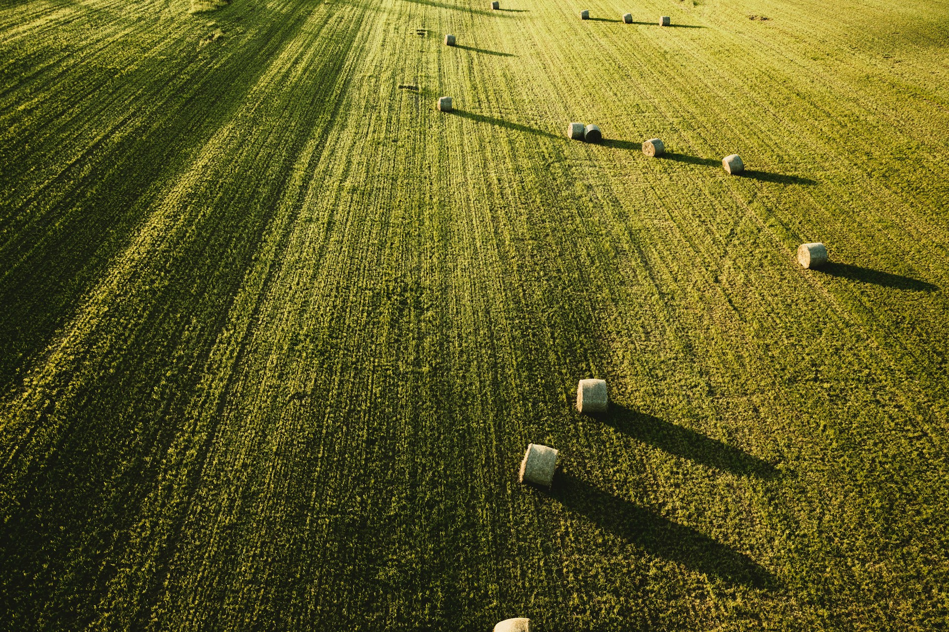 aerial photography of roll hays on field