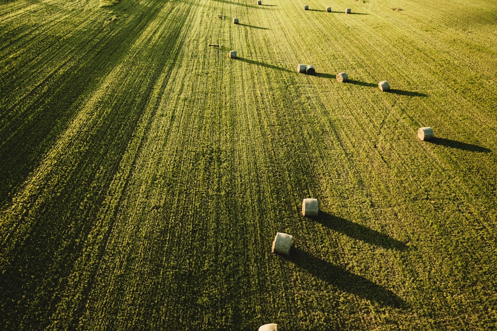 aerial photography of roll hays on field