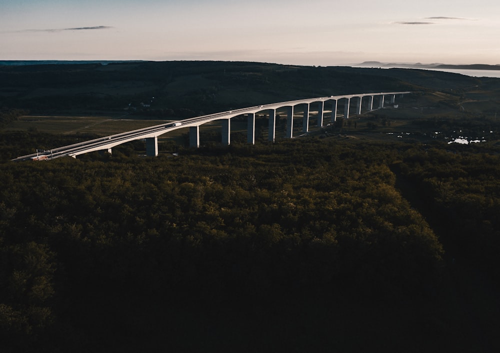 aerial photo of bridge