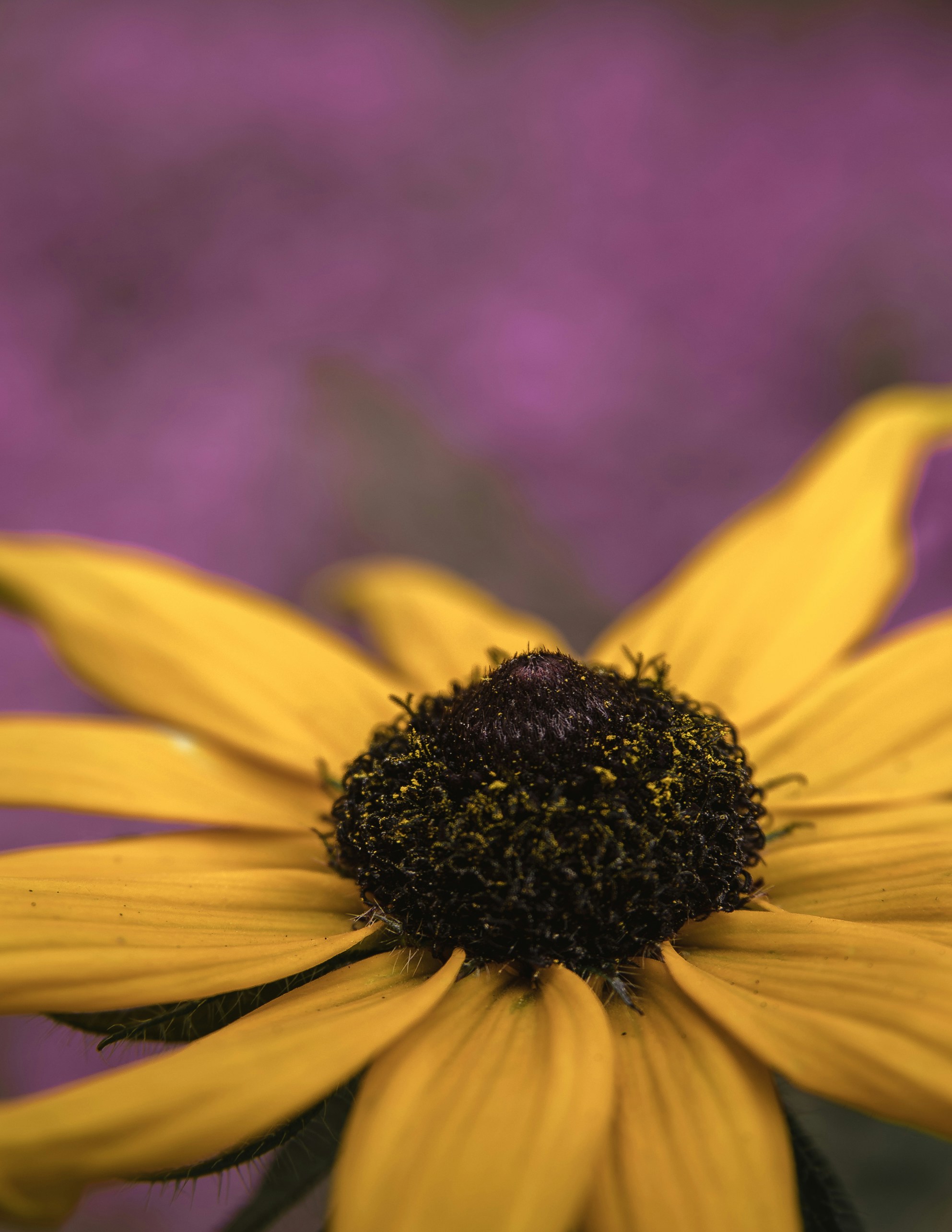 Photo by kirillpershin