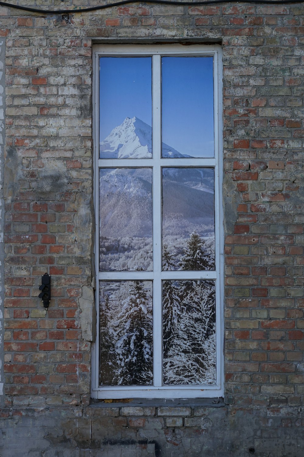 windowpane reflecting mountain and trees