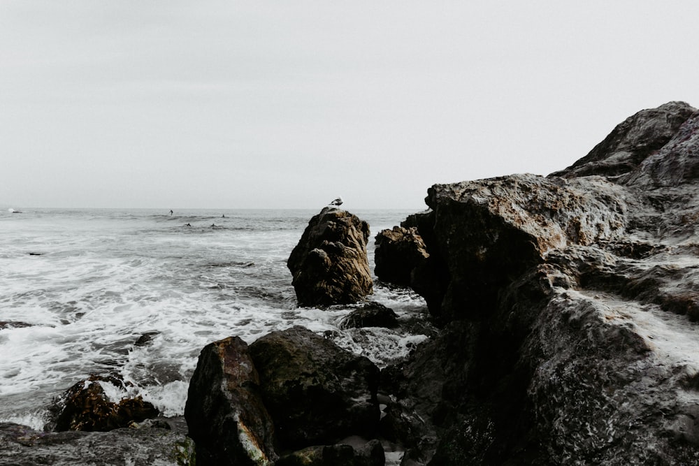 gray rock fragments