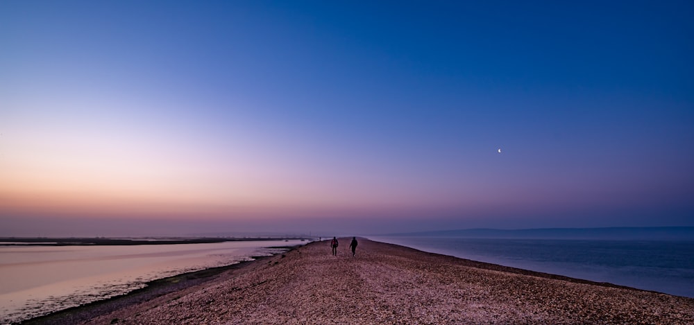 people walking on seashore