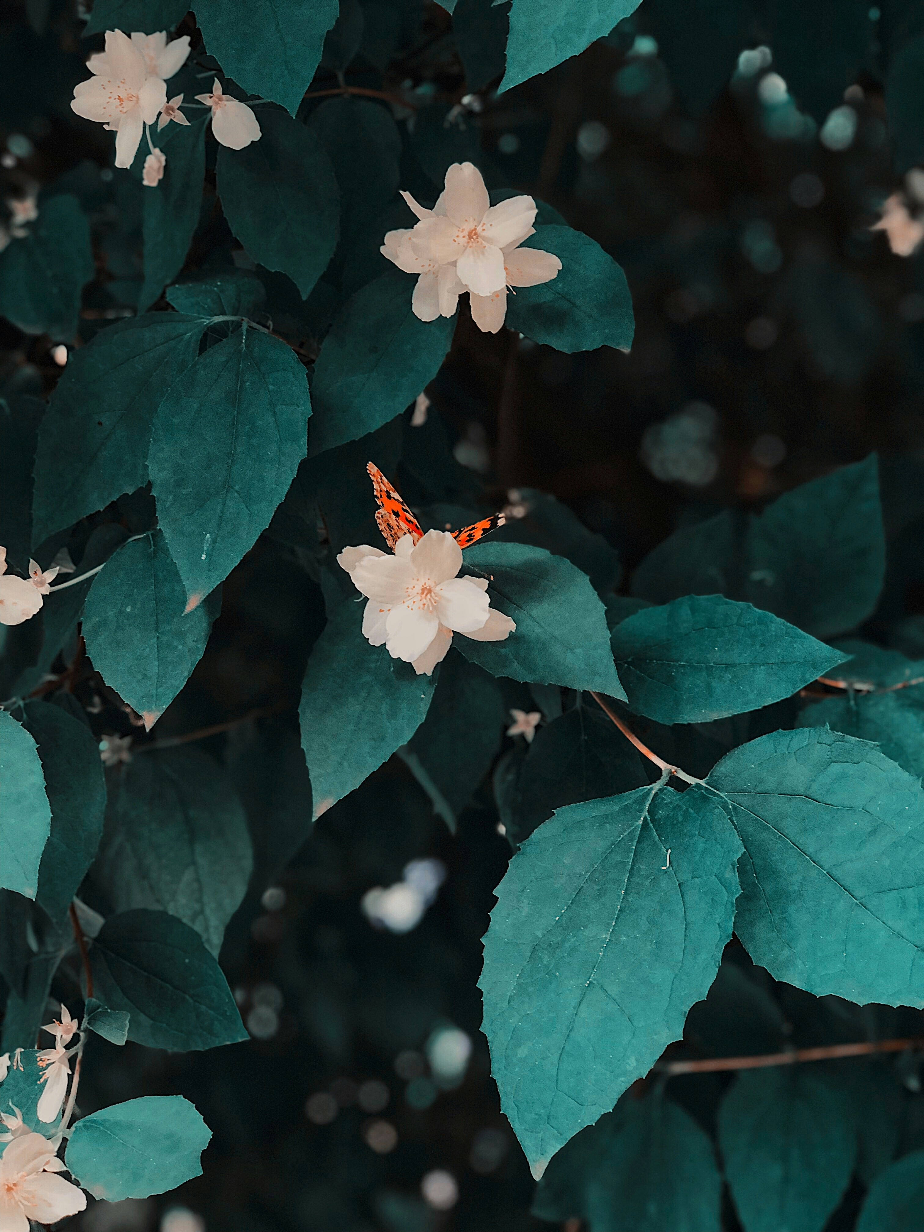 Photo by marybertova