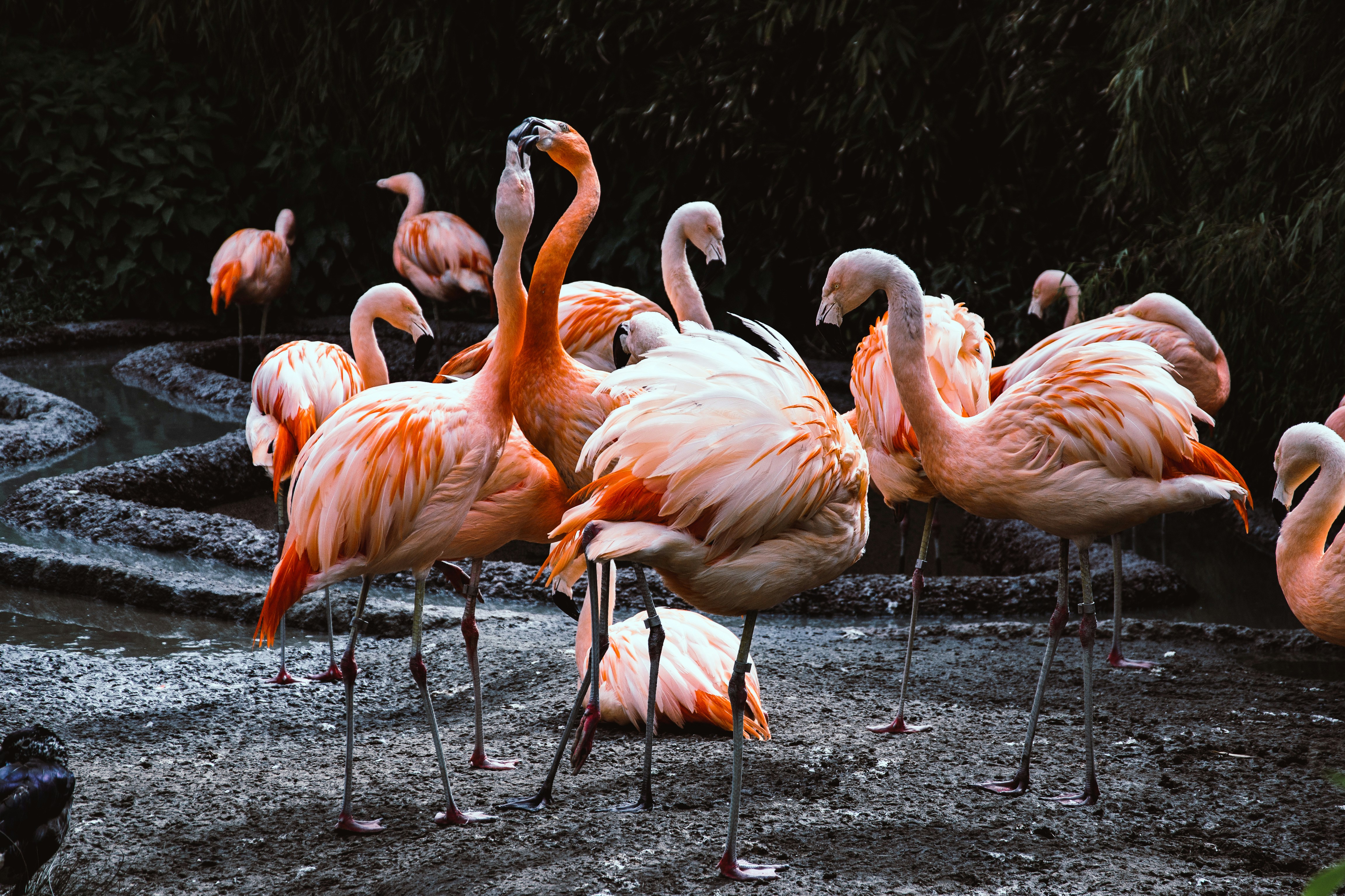 Photo by melimascella_