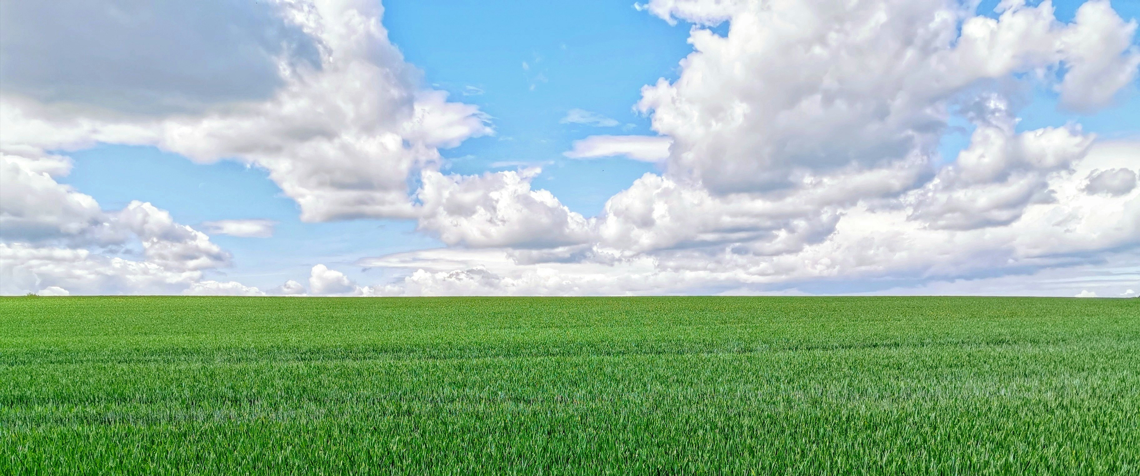 Photo by eimajtrebor