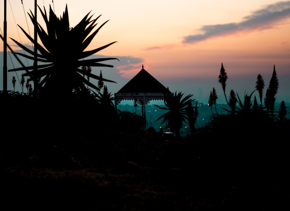 silhouette photography of gazebo