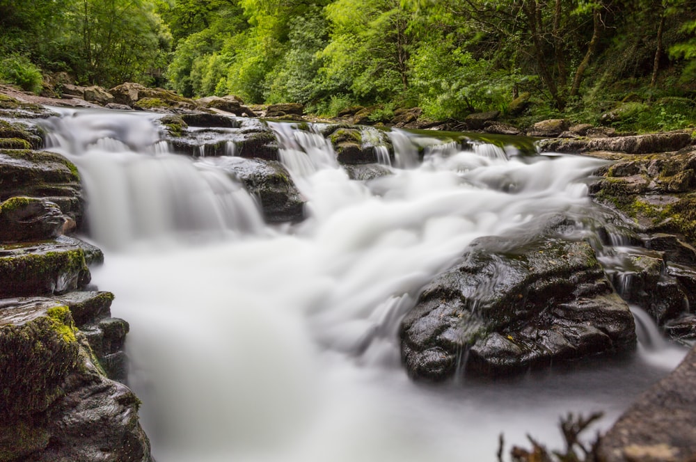 photography of river between green trees during daytime