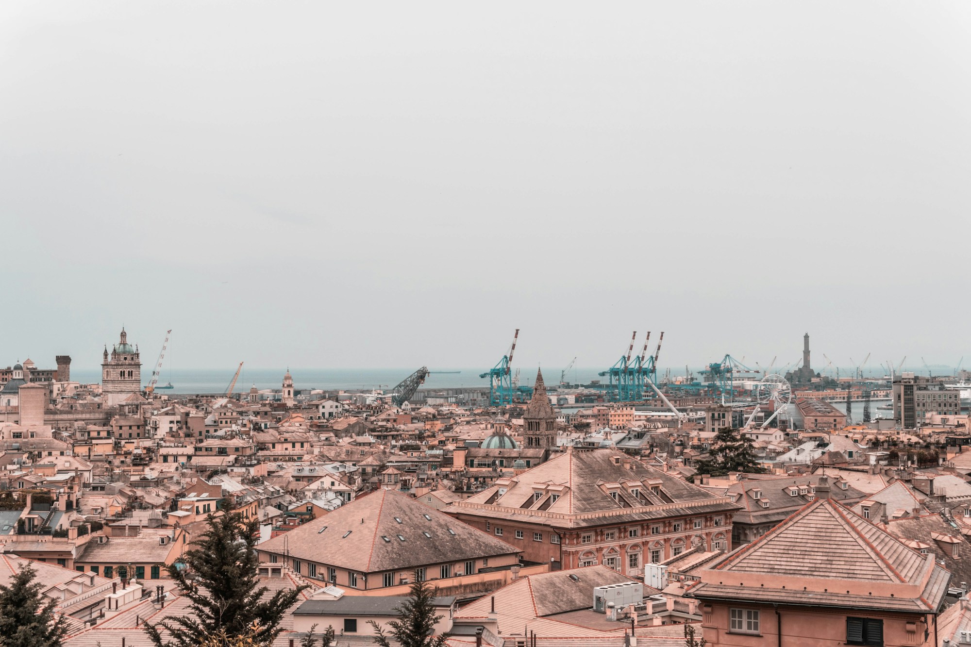 Exploring Genoa: Local Dishes, Restaurants & Recipes