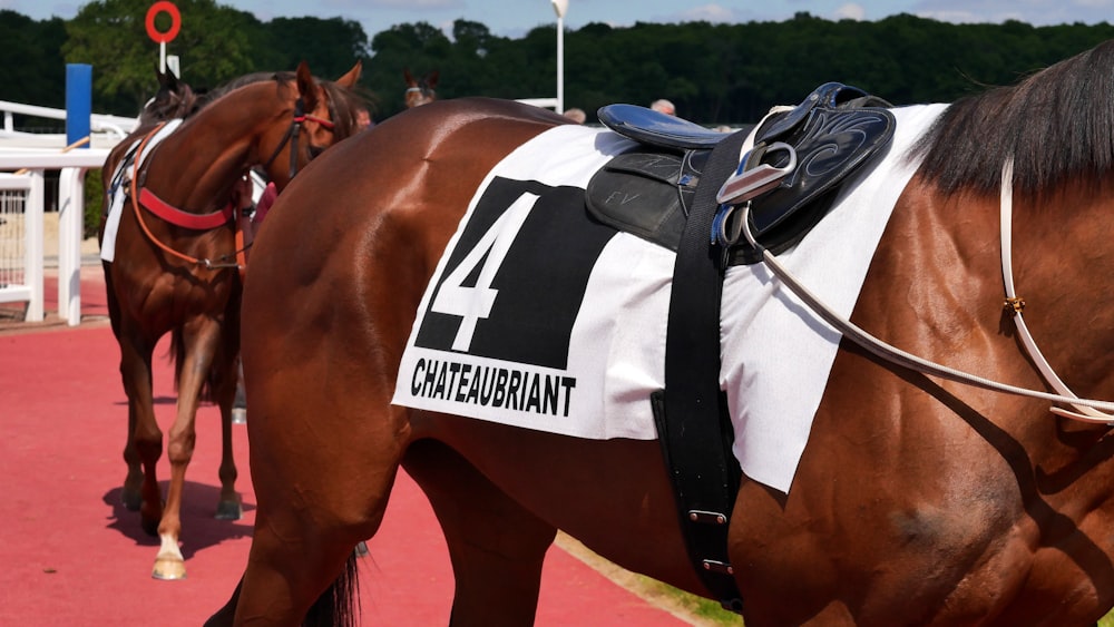 brown horse with black saddle during daytime