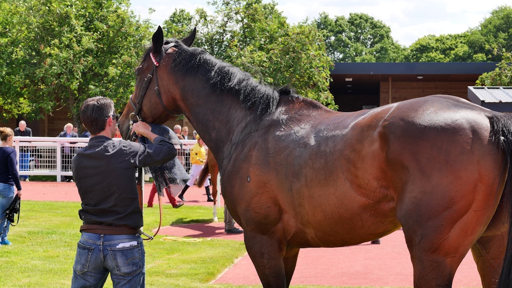 brown horse and man wearing gray dress shirt