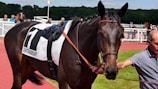A horse with a saddlecloth labeled 'CHATEAUBRIANT' and the number 1 stands next to a person holding its reins. The horse is on a red pathway with greenery in the background and several people standing behind a white fence.