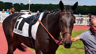 A horse with a saddlecloth labeled 'CHATEAUBRIANT' and the number 1 stands next to a person holding its reins. The horse is on a red pathway with greenery in the background and several people standing behind a white fence.