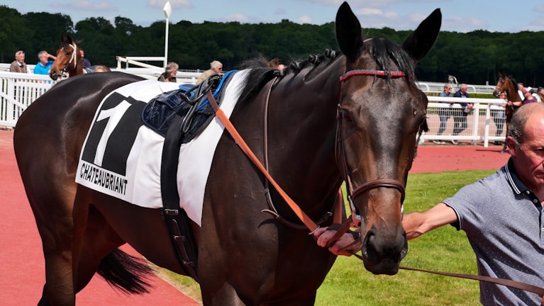 A horse with a saddlecloth labeled 'CHATEAUBRIANT' and the number 1 stands next to a person holding its reins. The horse is on a red pathway with greenery in the background and several people standing behind a white fence.