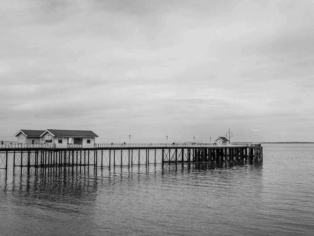 gray wooden dock