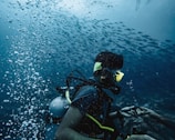 A scuba diver equipped with a diving mask, breathing apparatus, and oxygen tank is underwater, surrounded by a school of small fish. Bubbles are visible surrounding the diver, with a hand passing an object to the diver, suggesting a scene of interaction or assistance.