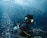 A scuba diver equipped with a diving mask, breathing apparatus, and oxygen tank is underwater, surrounded by a school of small fish. Bubbles are visible surrounding the diver, with a hand passing an object to the diver, suggesting a scene of interaction or assistance.