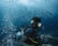 A scuba diver equipped with a diving mask, breathing apparatus, and oxygen tank is underwater, surrounded by a school of small fish. Bubbles are visible surrounding the diver, with a hand passing an object to the diver, suggesting a scene of interaction or assistance.