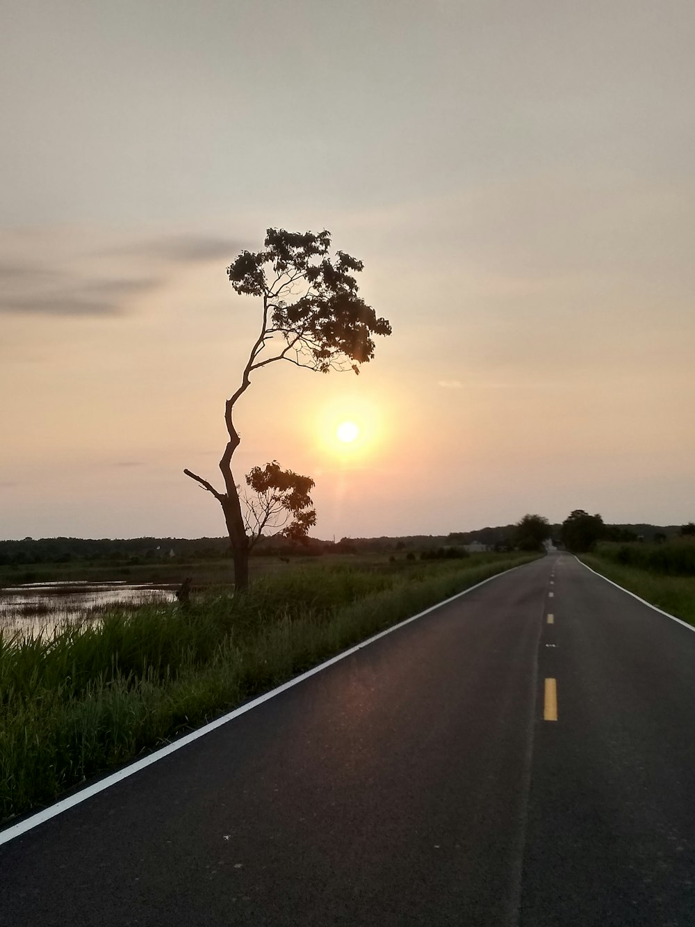 grey road during golden hour