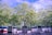 Several large tour buses are parked in a tree-lined area under a clear blue sky. The scene is shaded by tall trees with abundant green leaves. A few people are present near one of the buses, suggesting a rest stop or gathering point.