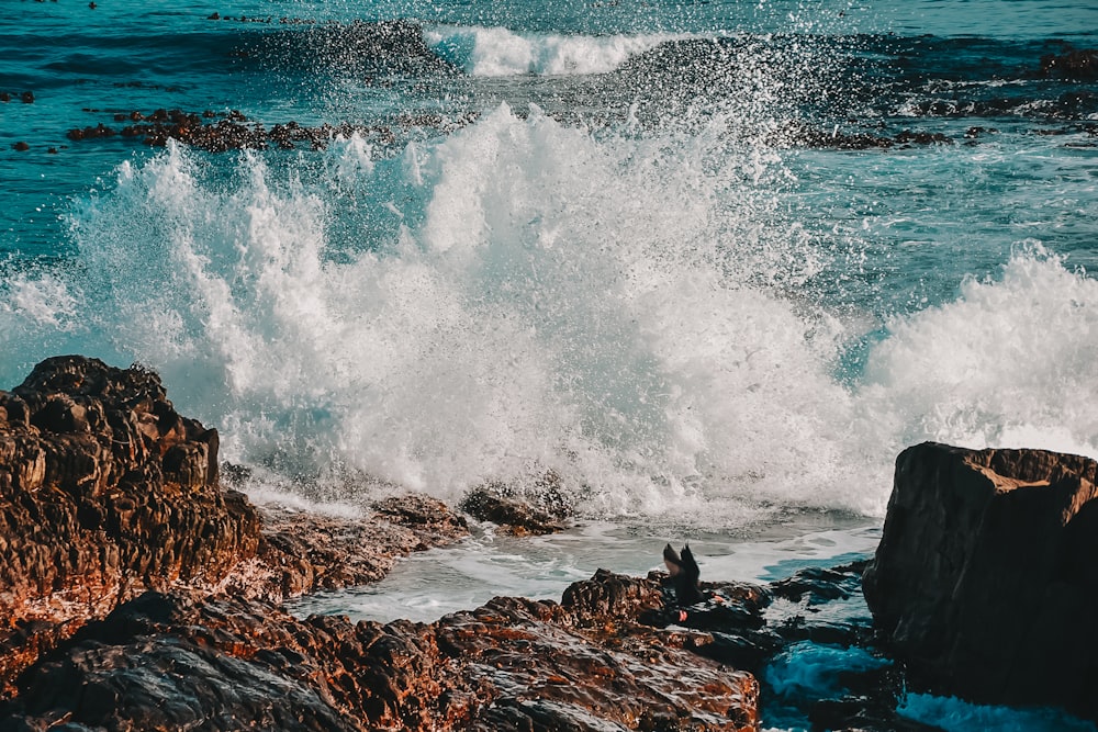 body of water crushed on rock