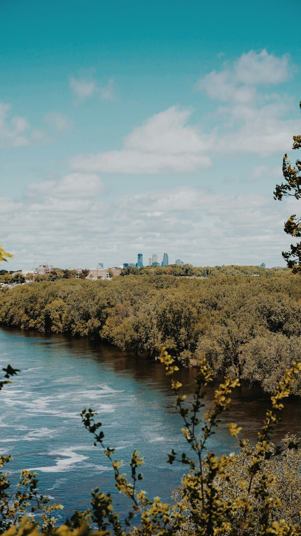 body of water photo during daytime