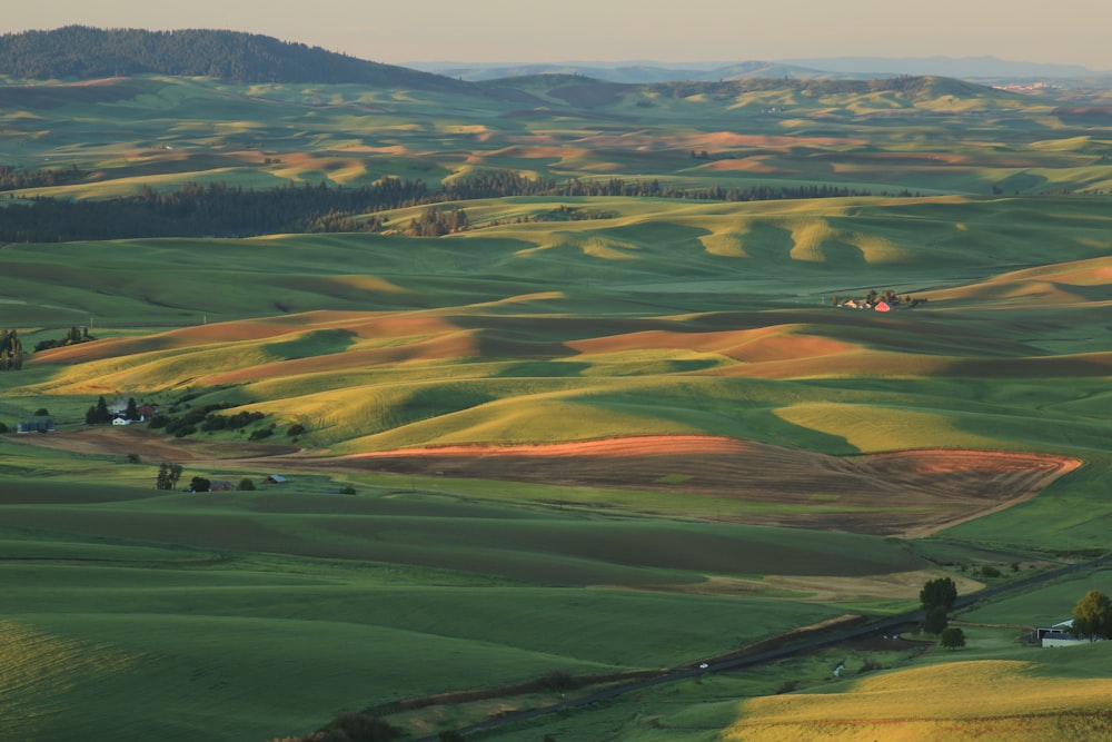 campo di erba verde durante il giorno