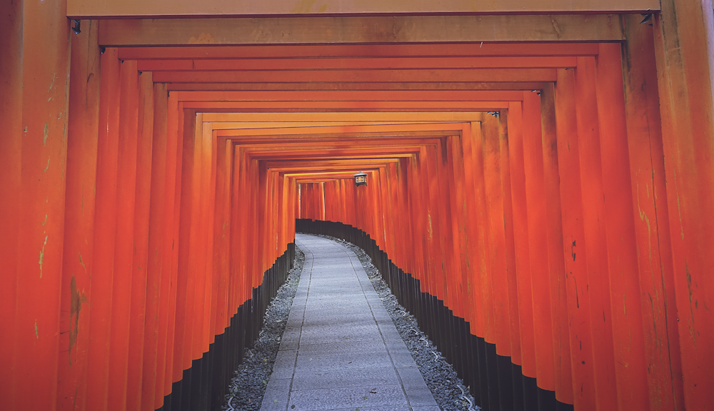 brown wooden arch pathway