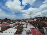 A panoramic view of a residential neighborhood with various roofs.