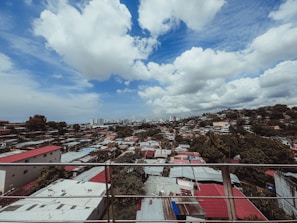 A panoramic view of a residential neighborhood with various roofs.