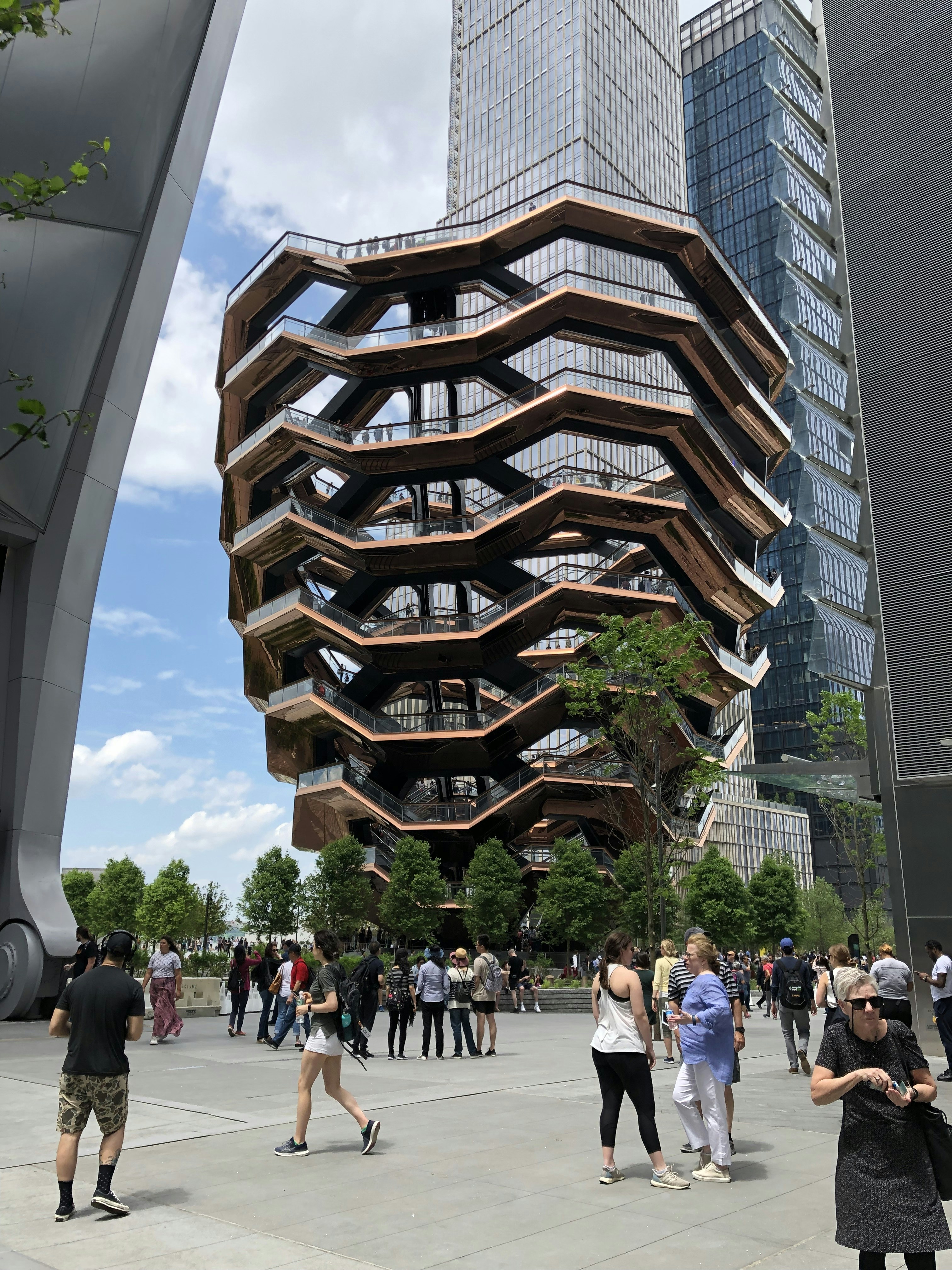 🎓 Academic vs Self-Taught