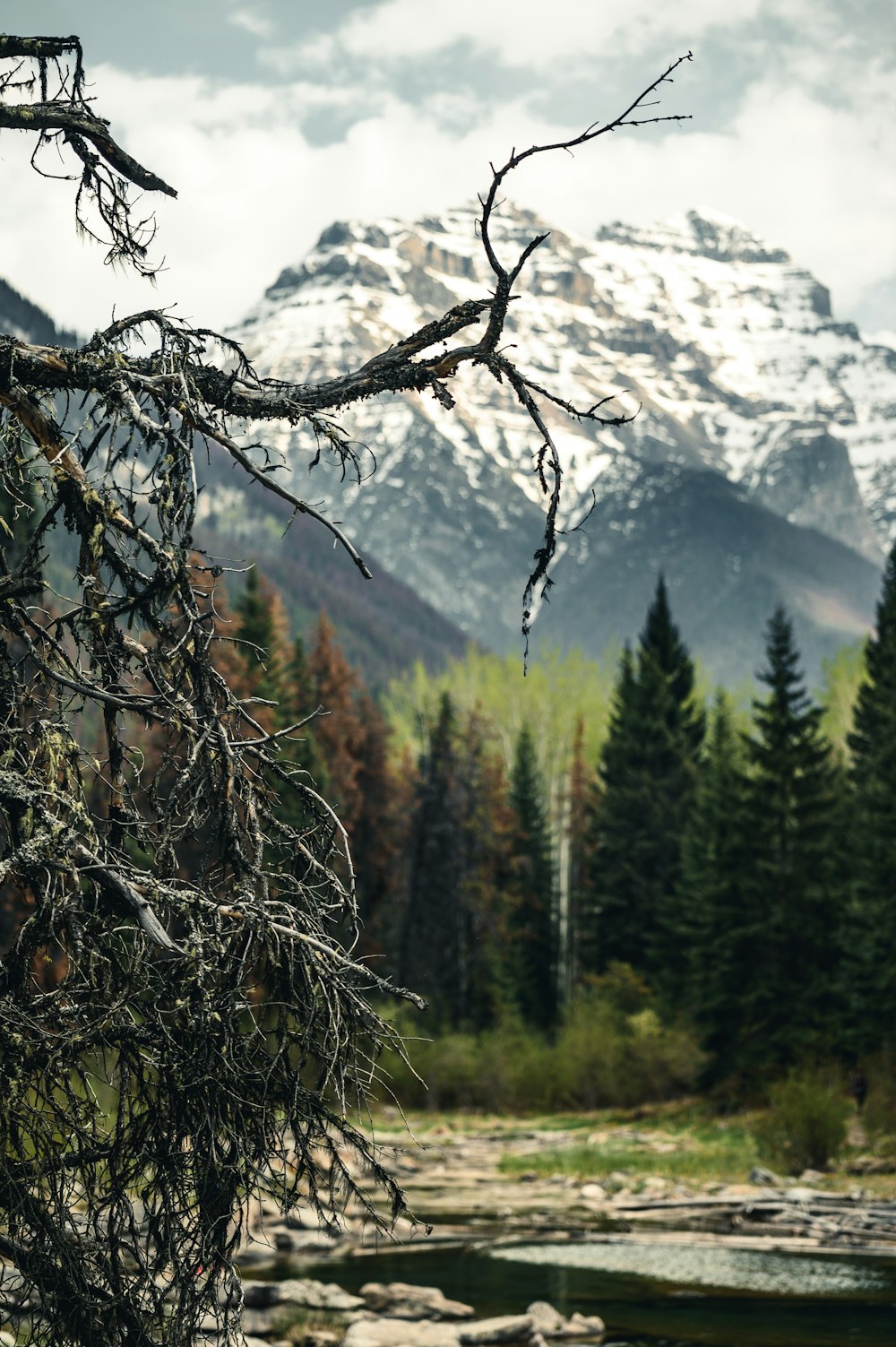 snow capped mountain during daytime