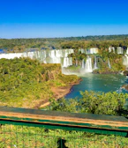 The roaring cascade of Victoria Falls framed by lush green foliage under a clear blue sky.
