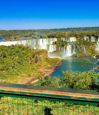 The roaring cascade of Victoria Falls framed by lush green foliage under a clear blue sky.
