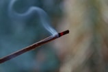 A burning incense stick with a thin trail of smoke rising against a blurred, natural background.
