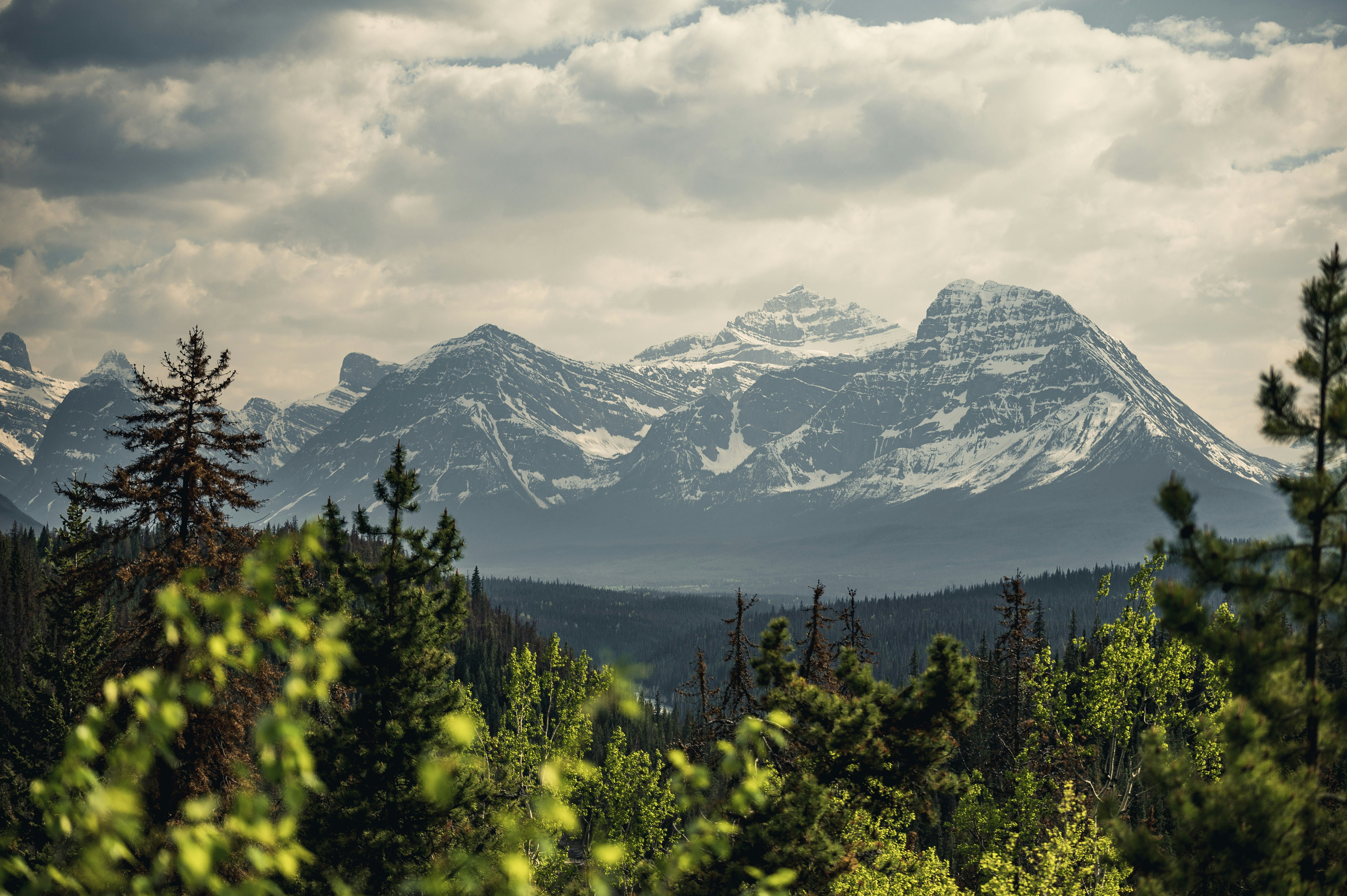 Photo by maxlarochelle