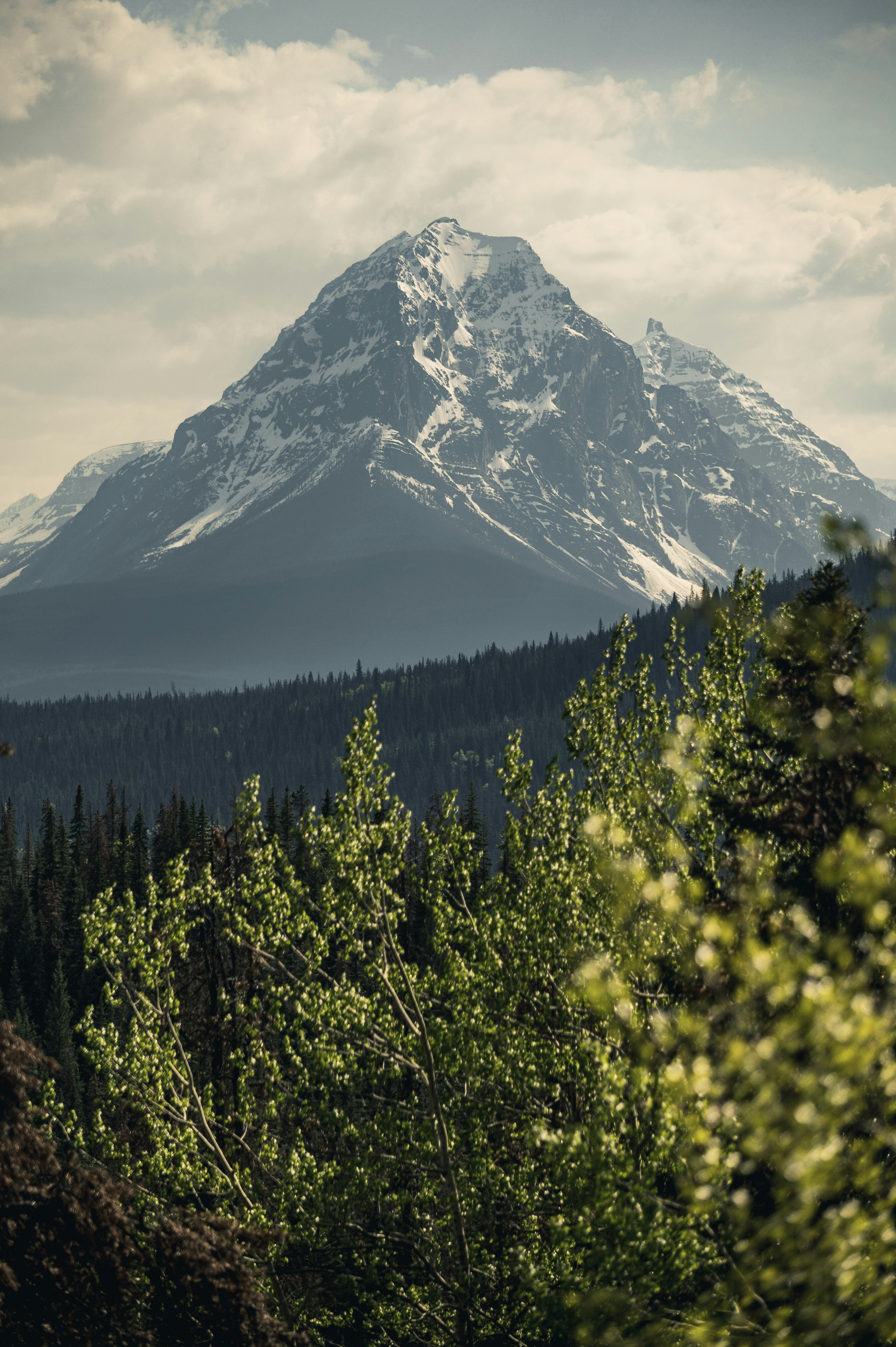 Photo by maxlarochelle