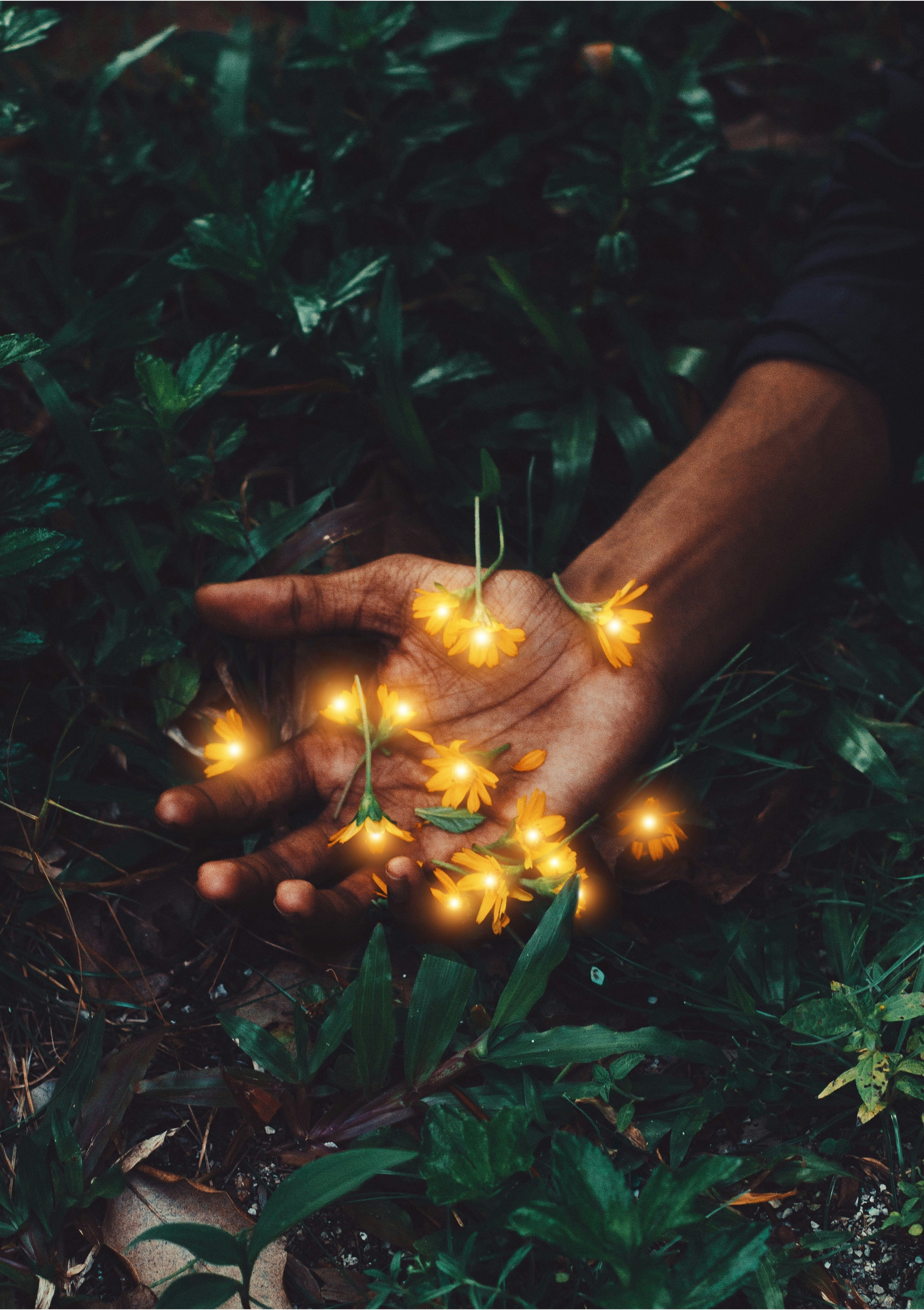 Relationship Dynamics After Diagnosis: Navigating Changed Connections