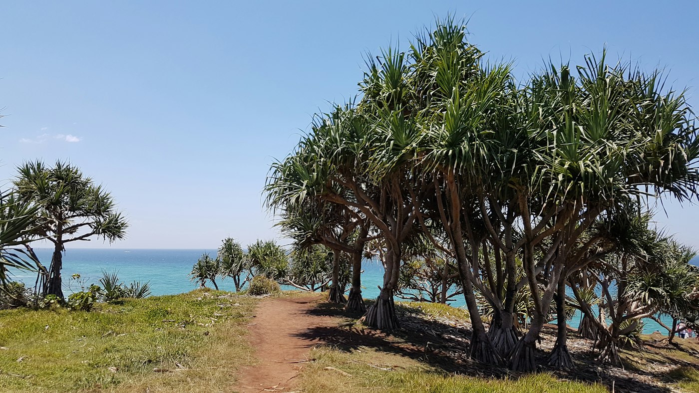 NDIS support worker Ocean Shores NSW — ConnectCare Gold Coast