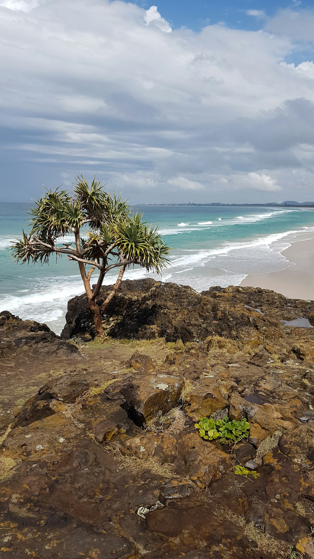 Tropics photo spot 1 Lighthouse Parade Burleigh Heads QLD