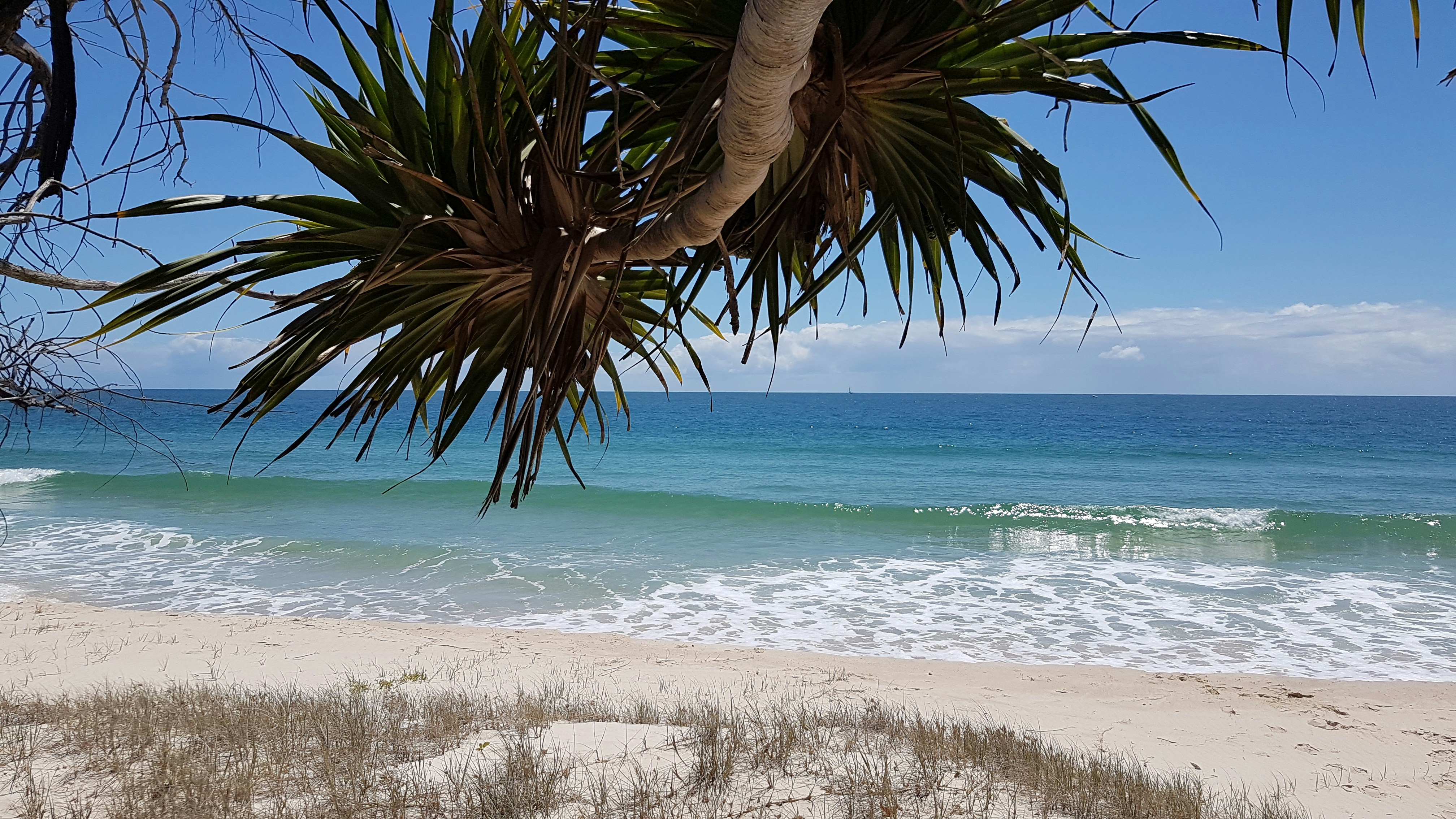 Photo by verinawaldner