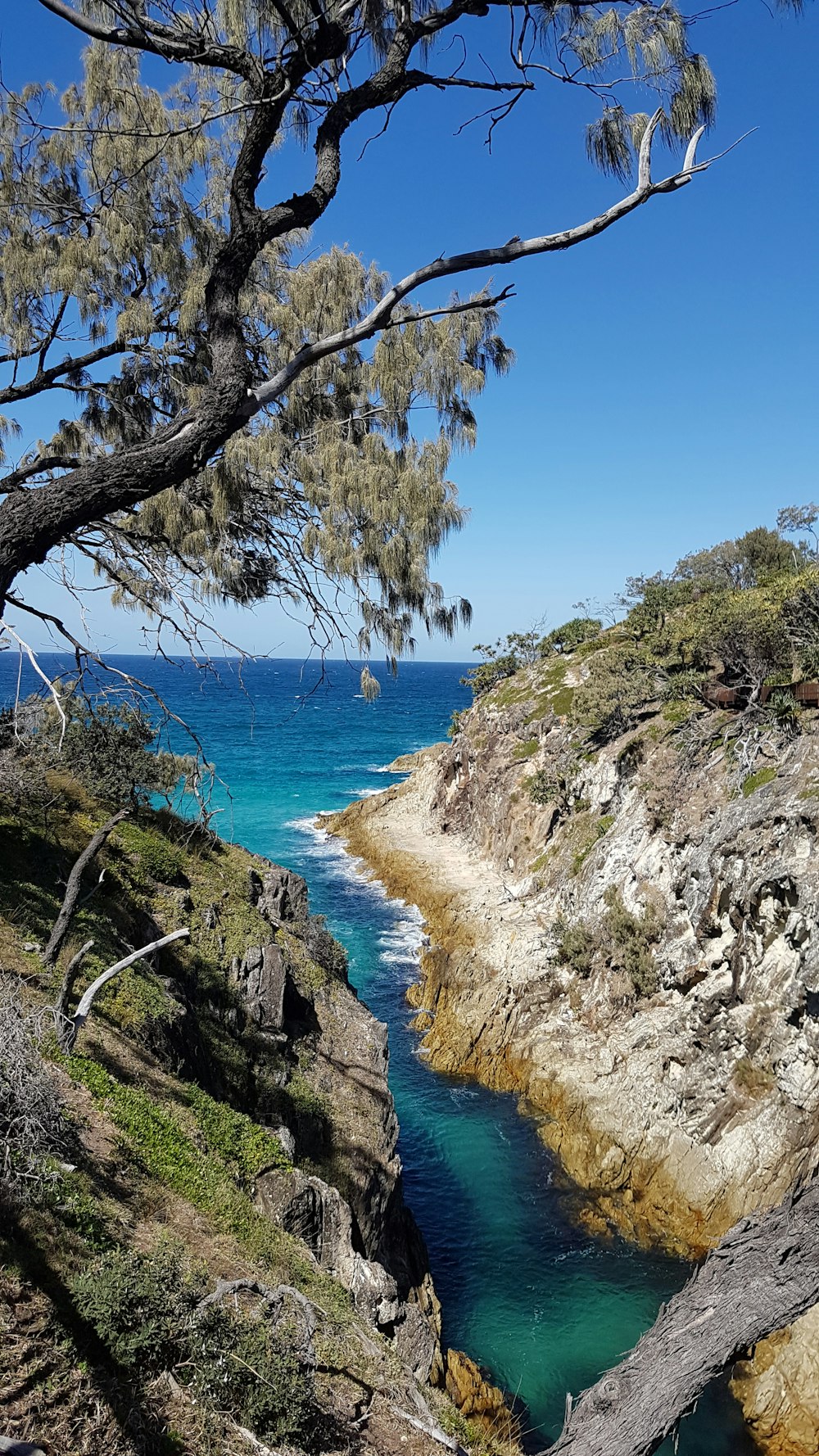 a body of water surrounded by trees and rocks