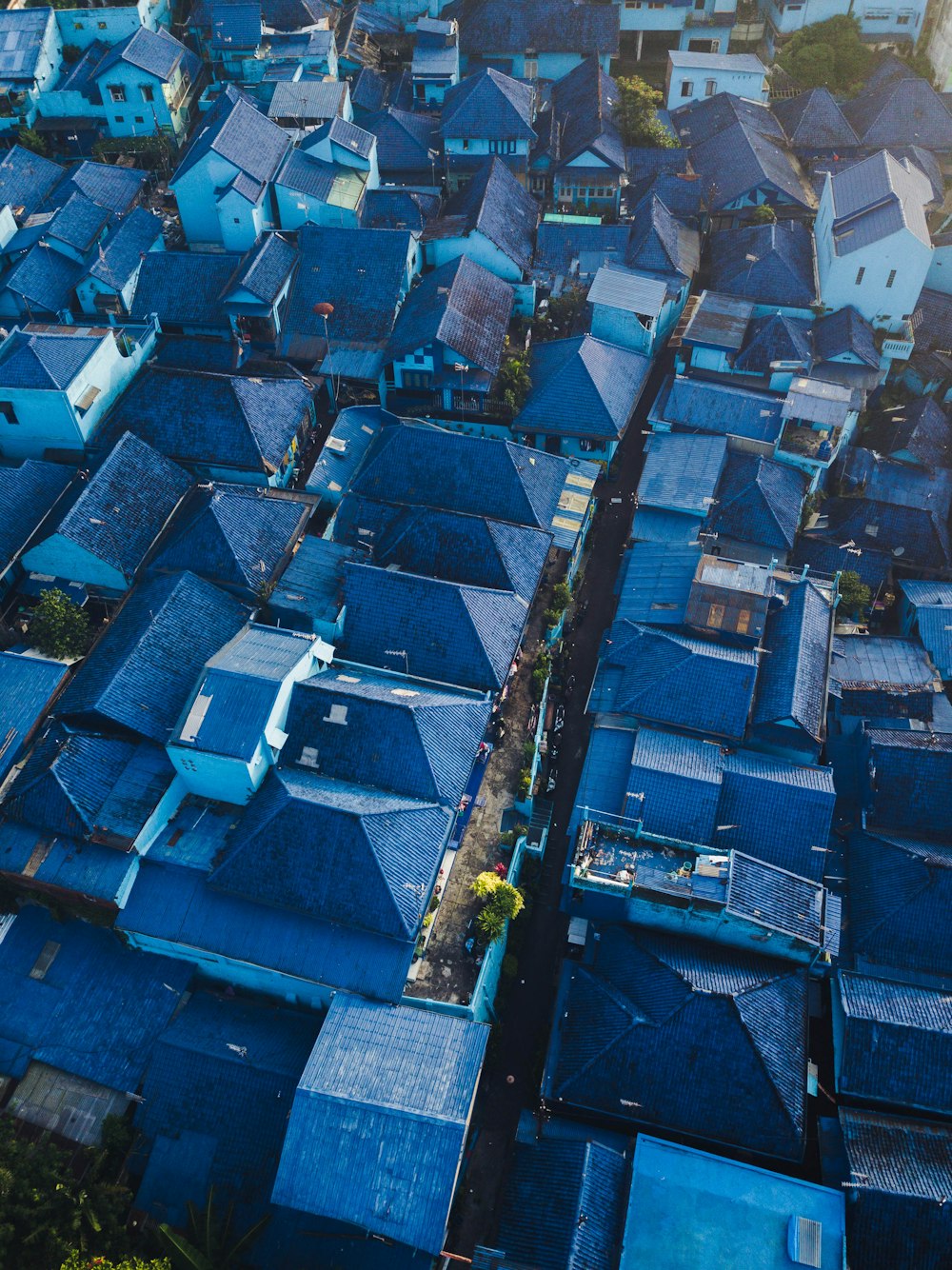 blue roofed houses at subdivision