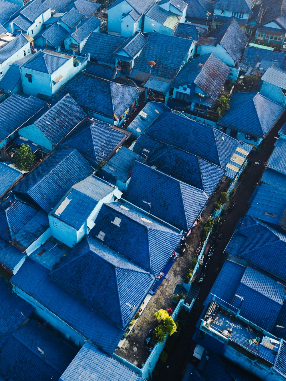 fotografia aérea de casas com telhados azuis durante o dia