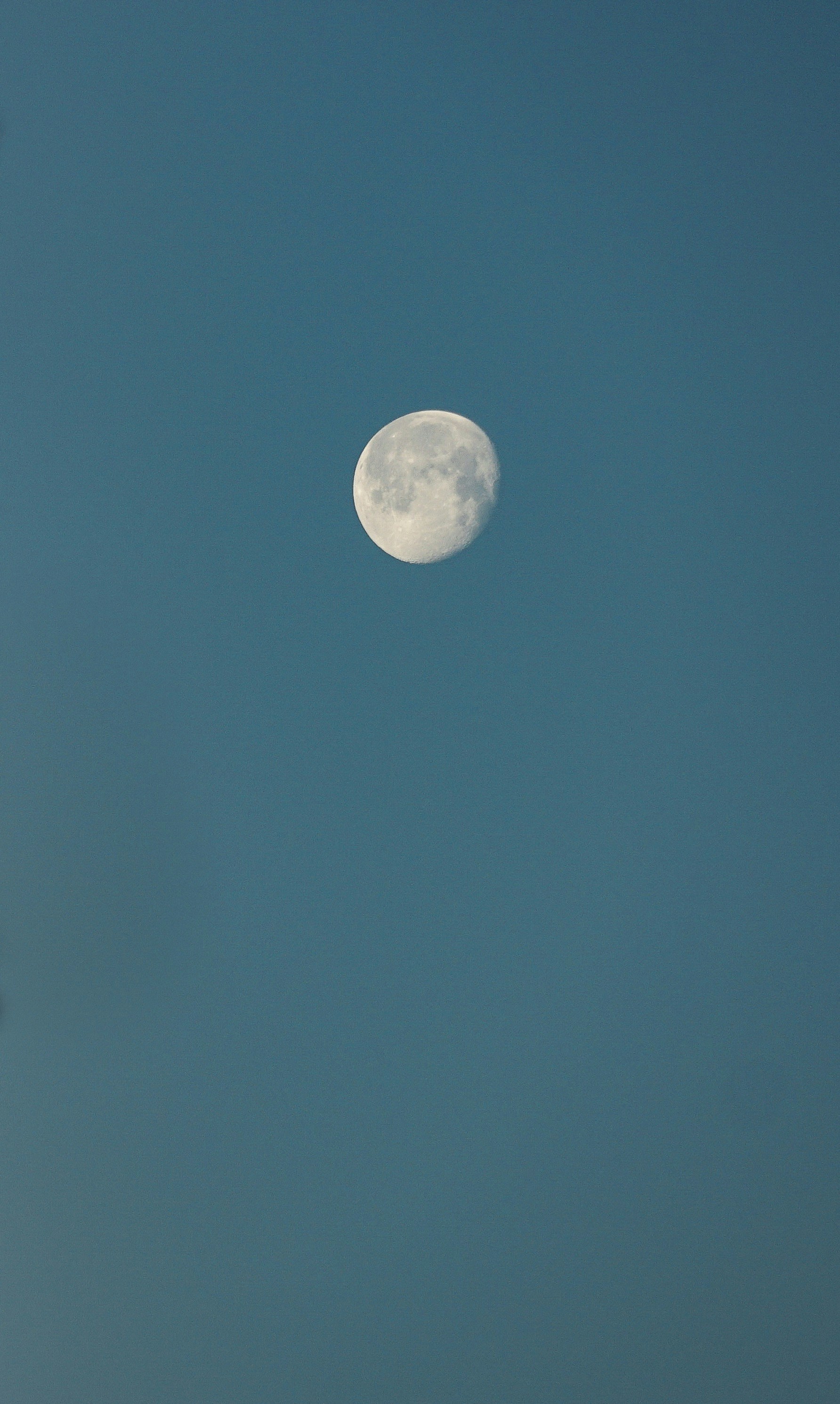 Photo by eternalseconds